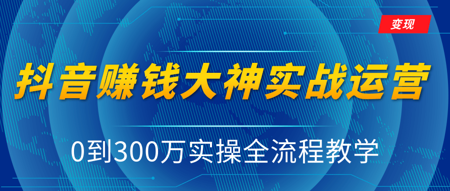 抖音赚钱大神实战运营教程，0到300万实操全流程教学，抖音独家变现模式-啄木鸟资源库