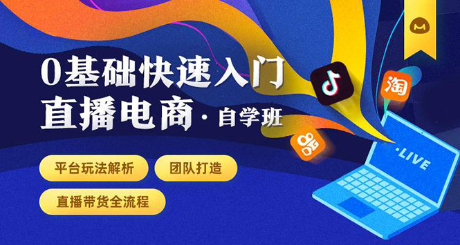 0基础快速入门直播电商课程：直播平台玩法解析-团队打造-带货全流程等环节-啄木鸟资源库