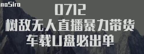 树敌‮习研‬社抖音无人直播暴力带货车载U盘必出单，单号单日产出300纯利润-啄木鸟资源库