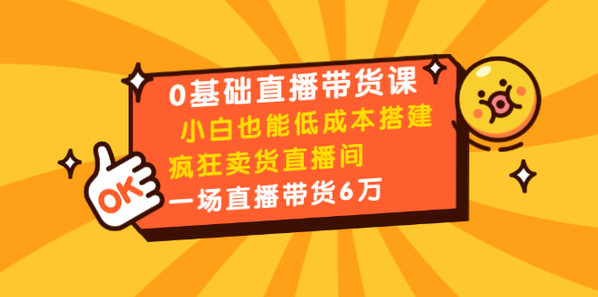 0基础直播带货课：小白也能低成本搭建疯狂卖货直播间：1场直播带货6万-啄木鸟资源库