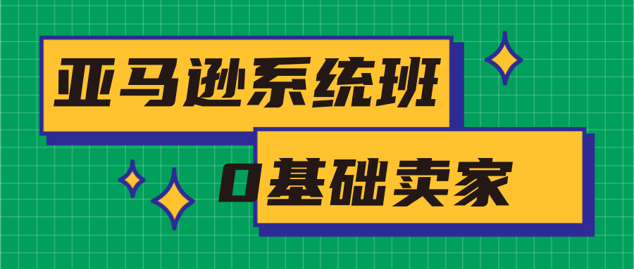 亚马逊系统班，专为0基础卖家量身打造，亚马逊运营流程与架构-啄木鸟资源库