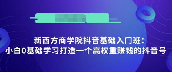 抖音基础入门班：小白0基础学习打造一个高权重赚钱的抖音号-啄木鸟资源库