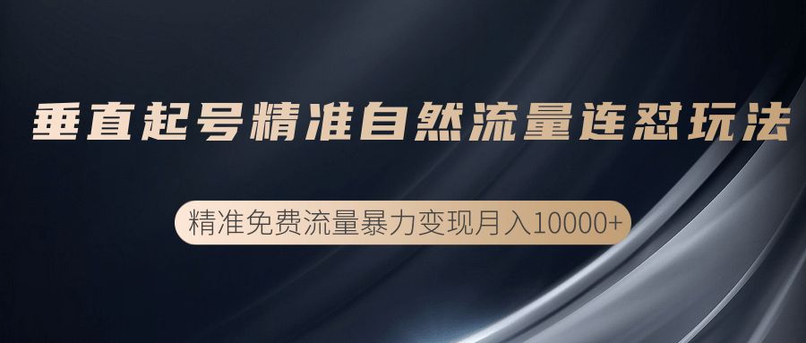 垂直起号精准自然流量连爆玩法，精准引流暴力变现月入10000+-啄木鸟资源库