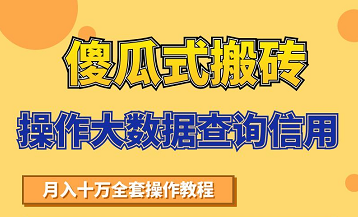 搬砖操作大数据查询信用项目赚钱教程，祝你快速月入6万-啄木鸟资源库