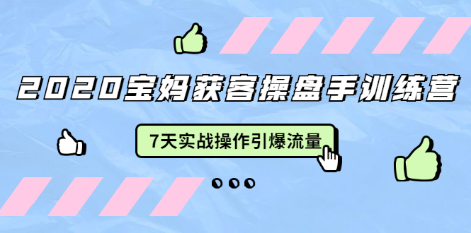 2020宝妈获客操盘手训练营：7天实战操作引爆 母婴、都市、购物宝妈流量-啄木鸟资源库