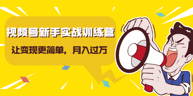 视频号新手实战训练营，让变现更简单，玩赚视频号，轻松月入过万-啄木鸟资源库