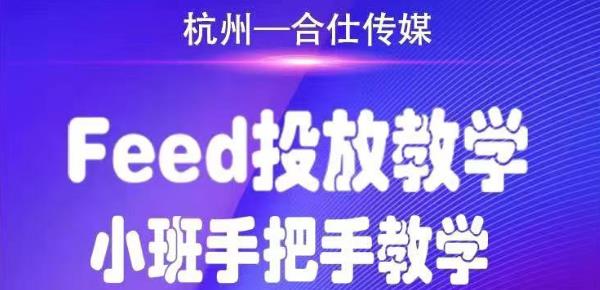 合仕传媒Feed投放教学，手把手教学，开车烧钱必须自己会-啄木鸟资源库