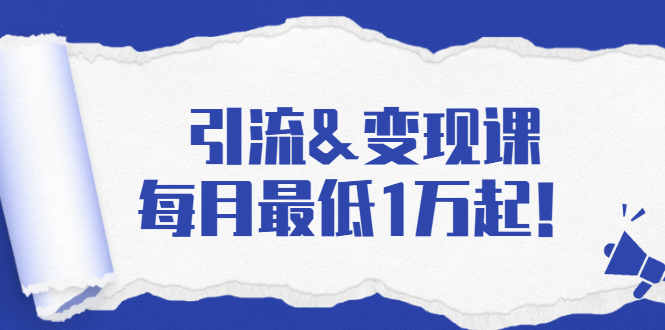 引流&变现课：分享一整套流量方法以及各个渠道收入，每月最低1万起！-啄木鸟资源库