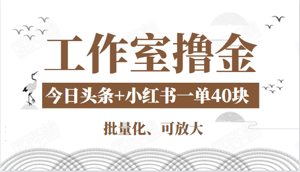 工作室撸金二件套：撸今日头条原创收益+小红书一单利润40块项目-啄木鸟资源库