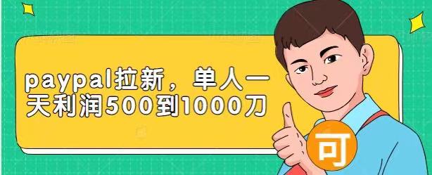 Paypal拉新赚美刀项目，单人一天利润500-1000刀【视频课程】-啄木鸟资源库