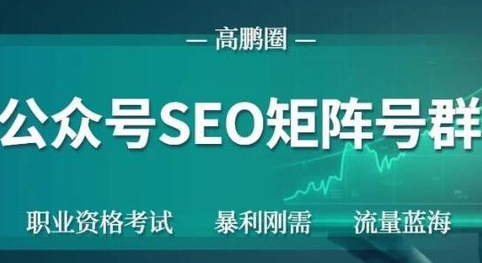 高鹏圈公众号SEO矩阵号群，实操20天纯收益25000+，普通人都能做-啄木鸟资源库