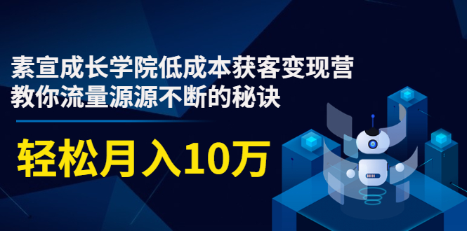 素宣成长学院低成本获客变现营，教你流量源源不断的秘诀，轻松月入10万-啄木鸟资源库