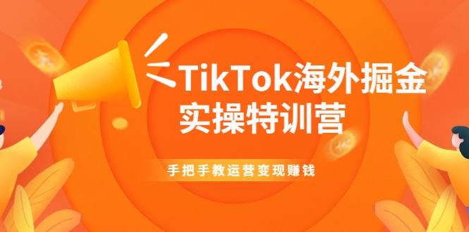 TikTok海外掘金实操特训营：手把手教运营变现赚钱-啄木鸟资源库