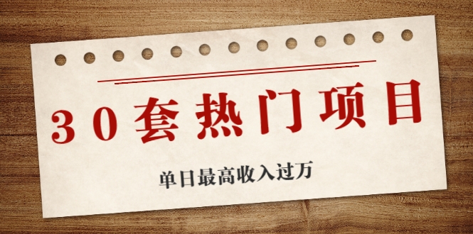 30套热门项目：单日最高收入过万 (网赚项目、朋友圈、涨粉套路、抖音、快手)等-啄木鸟资源库