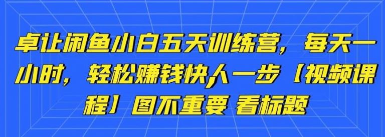 卓让闲鱼小白五天训练营，每天一小时，轻松赚钱快人一步-啄木鸟资源库