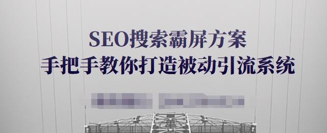 SEO搜索霸屏方案，手把手教你打造被动引流系统【视频课程】-啄木鸟资源库