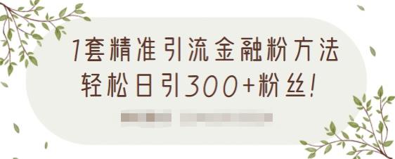 1套精准引流金融粉方法，轻松日引300+粉丝-啄木鸟资源库