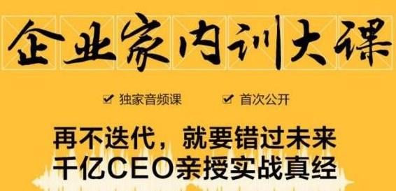 企业家内训大课，未来企业必学经验，价值1299元-啄木鸟资源库