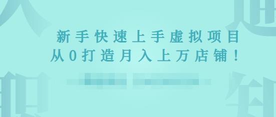 2022年虚拟项目实战指南，新手从0打造月入上万店铺-啄木鸟资源库