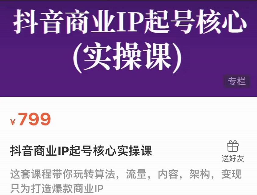 抖音商业IP起号核心实操课，带你玩转算法，流量，内容，架构，变现-啄木鸟资源库