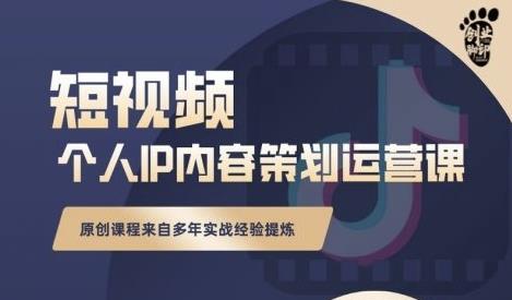 抖音短视频个人ip内容策划实操课，真正做到普通人也能实行落地-啄木鸟资源库