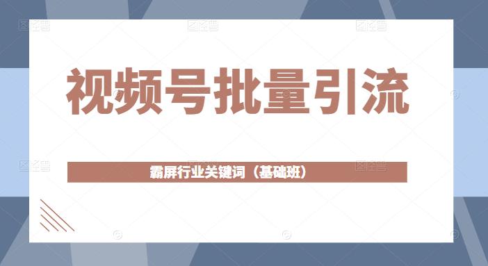 视频号批量引流，霸屏行业关键词（基础班）全面系统讲解视频号玩法-啄木鸟资源库