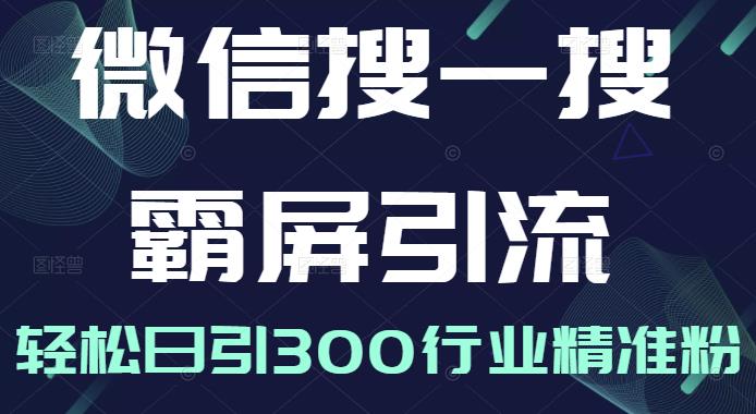 微信搜一搜霸屏引流课，打造被动精准引流系统，轻松日引300行业精准粉-啄木鸟资源库