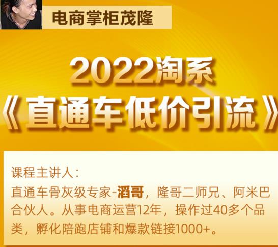 茂隆2022直通车低价引流玩法，教大家如何低投入高回报的直通车玩法-啄木鸟资源库