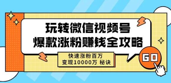 玩转微信视频号爆款涨粉赚钱全攻略，快速涨粉百万变现万元秘诀-啄木鸟资源库