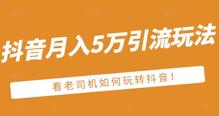 老古董·抖音月入5万引流玩法，看看老司机如何玩转抖音(附赠：抖音另类引流思路)-啄木鸟资源库