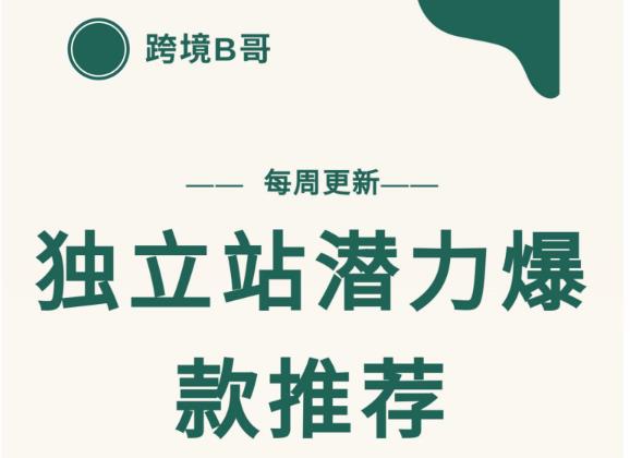 【跨境B哥】独立站潜力爆款选品推荐，测款出单率高达百分之80-啄木鸟资源库