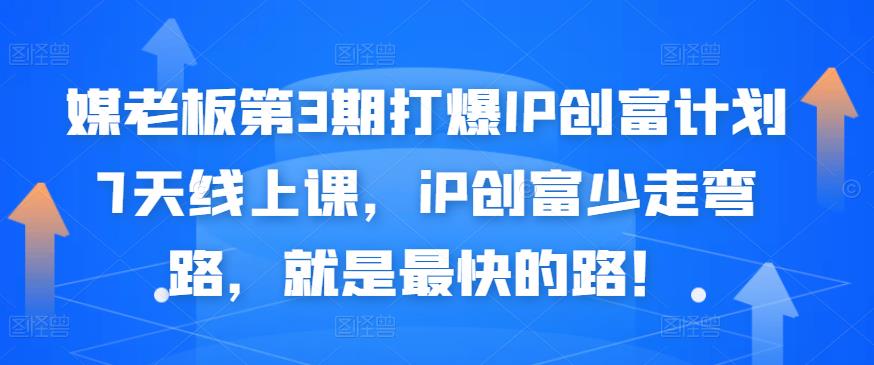 媒老板第3期打爆IP创富计划7天线上课，iP创富少走弯路，就是最快的路！-啄木鸟资源库