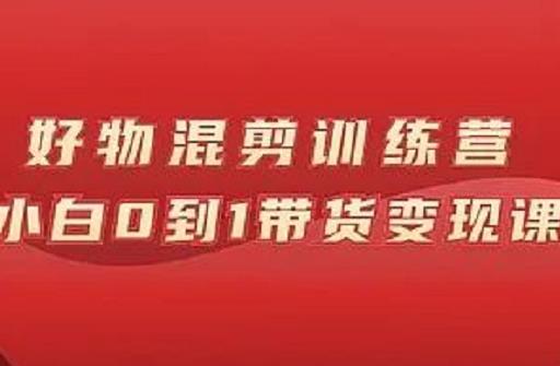 万三好物混剪训练营：小白0到1带货变现课-啄木鸟资源库