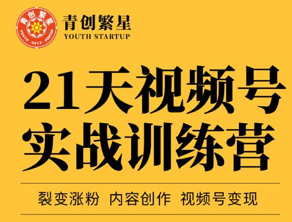 张萌21天视频号实战训练营，裂变涨粉、内容创作、视频号变现 价值298元-啄木鸟资源库