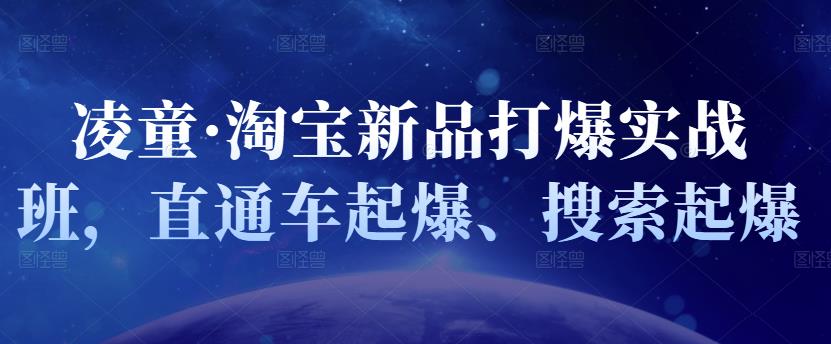 凌童·淘宝新品打爆实战班，直通车起爆、搜索起爆-啄木鸟资源库