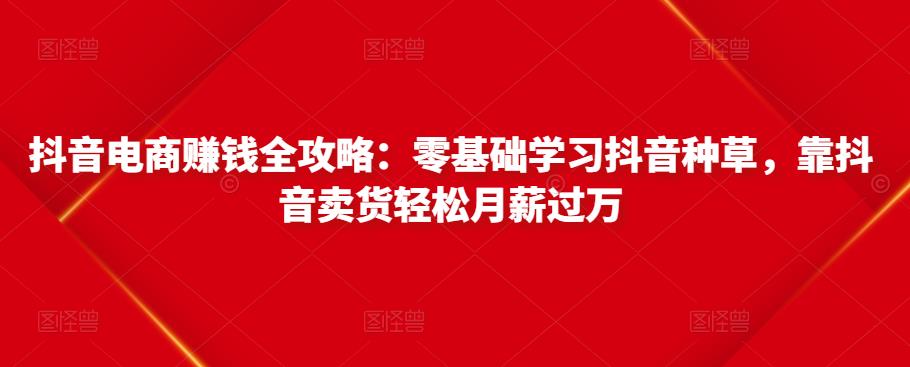 抖音电商赚钱全攻略：零基础学习抖音种草，靠抖音卖货轻松月薪过万-啄木鸟资源库