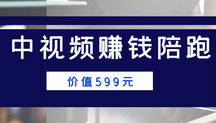 中视频赚钱陪跑，卖中视频账户赚钱收益陪跑项目（价值599元）-啄木鸟资源库