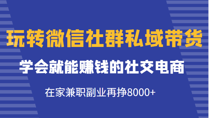 玩转微信社群私域带货，学会就能赚钱的社交电商，在家兼职副业再挣8000+-啄木鸟资源库