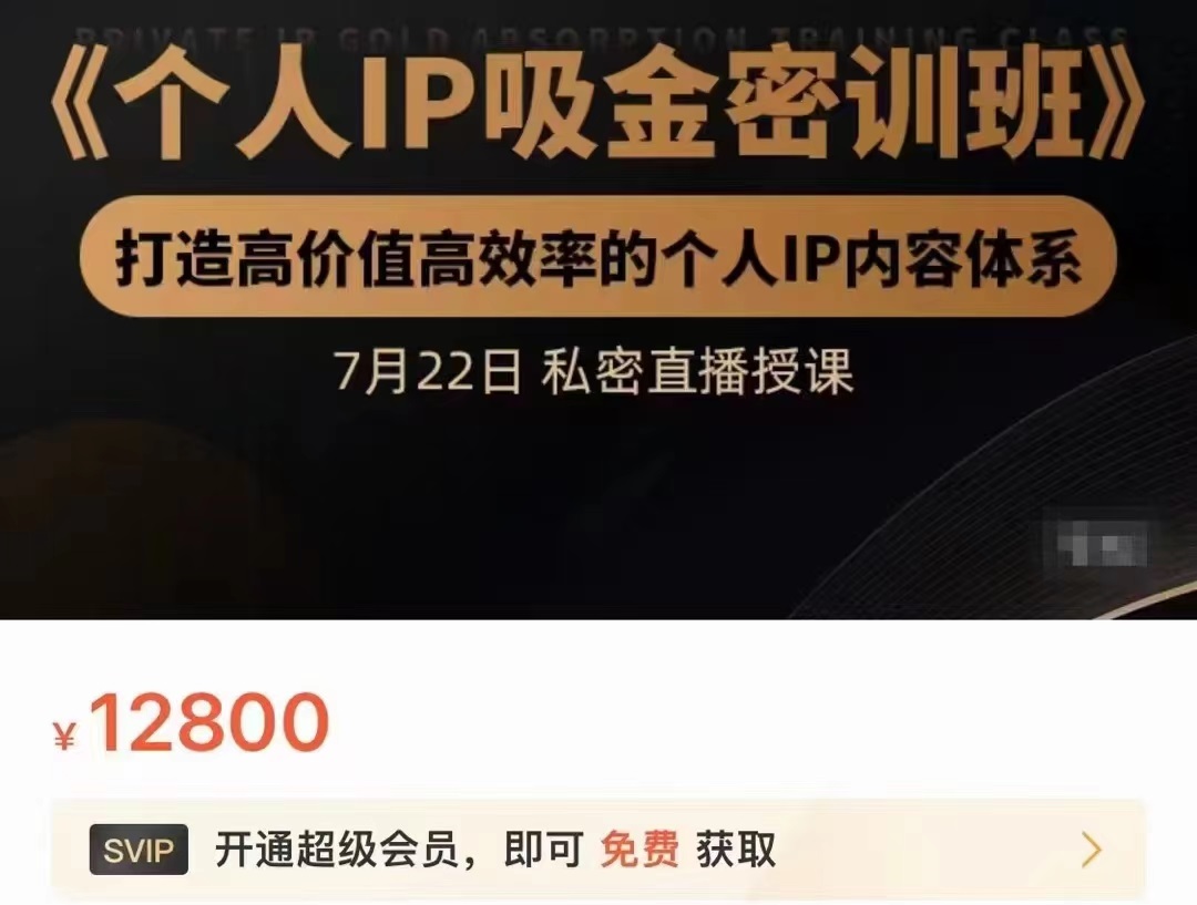 个人IP吸金密训班，打造高价值高效率的个人IP内容体系（价值12800元）-啄木鸟资源库