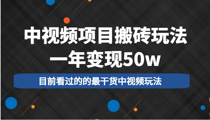 中视频项目搬砖玩法，一年变现50w，目前看过的的最干货中视频玩法-啄木鸟资源库