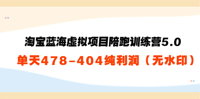 淘宝蓝海虚拟项目陪跑训练营5.0：单天478纯利润-啄木鸟资源库