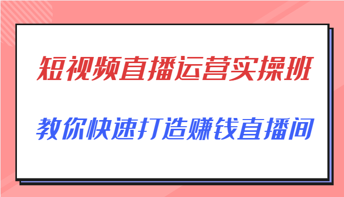 短视频直播运营实操班，直播带货精细化运营实操，教你快速打造赚钱直播间-啄木鸟资源库