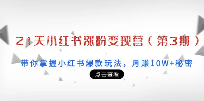 21天小红书涨粉变现营（第3期）：带你掌握小红书爆款玩法，月赚10W+秘密-啄木鸟资源库