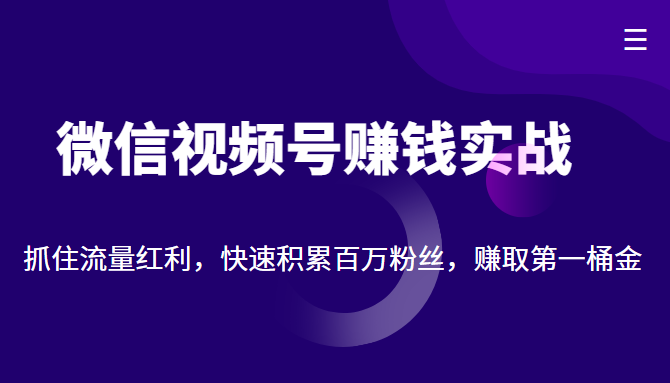 微信视频号赚钱实战：抓住流量红利，快速积累百万粉丝，赚取你的第一桶金-啄木鸟资源库