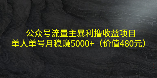 公众号流量主暴利撸收益项目，单人单号月稳赚5000+（价值480元）-啄木鸟资源库