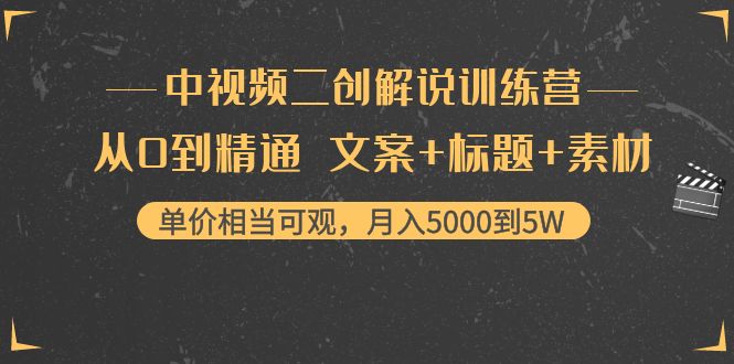 中视频二创解说训练营：从0到精通 文案+标题+素材、月入5000到5W-啄木鸟资源库