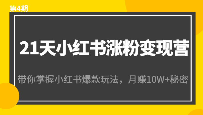 21天小红书涨粉变现营（第4期）：带你掌握小红书爆款玩法，月赚10W+秘密-啄木鸟资源库