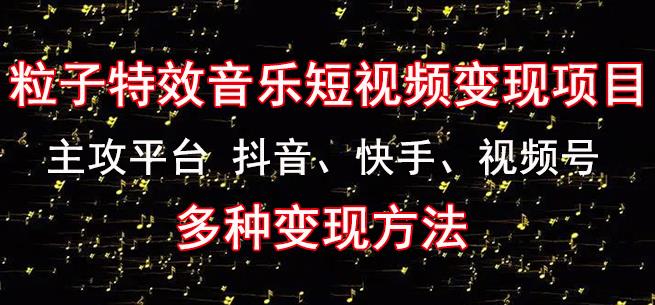 黄岛主《粒子特效音乐短视频变现项目》主攻平台抖音、快手、视频号多种变现方法-啄木鸟资源库