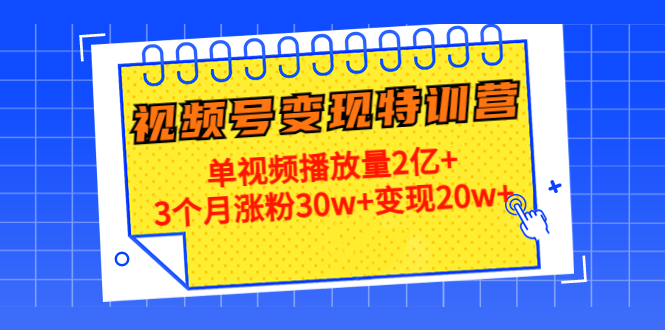 21天视频号变现特训营：单视频播放量2亿+3个月涨粉30w+变现20w+（第14期）-啄木鸟资源库