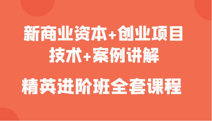 新商业资本+创业项目，技术+案例讲解，精英进阶班全套课程-啄木鸟资源库